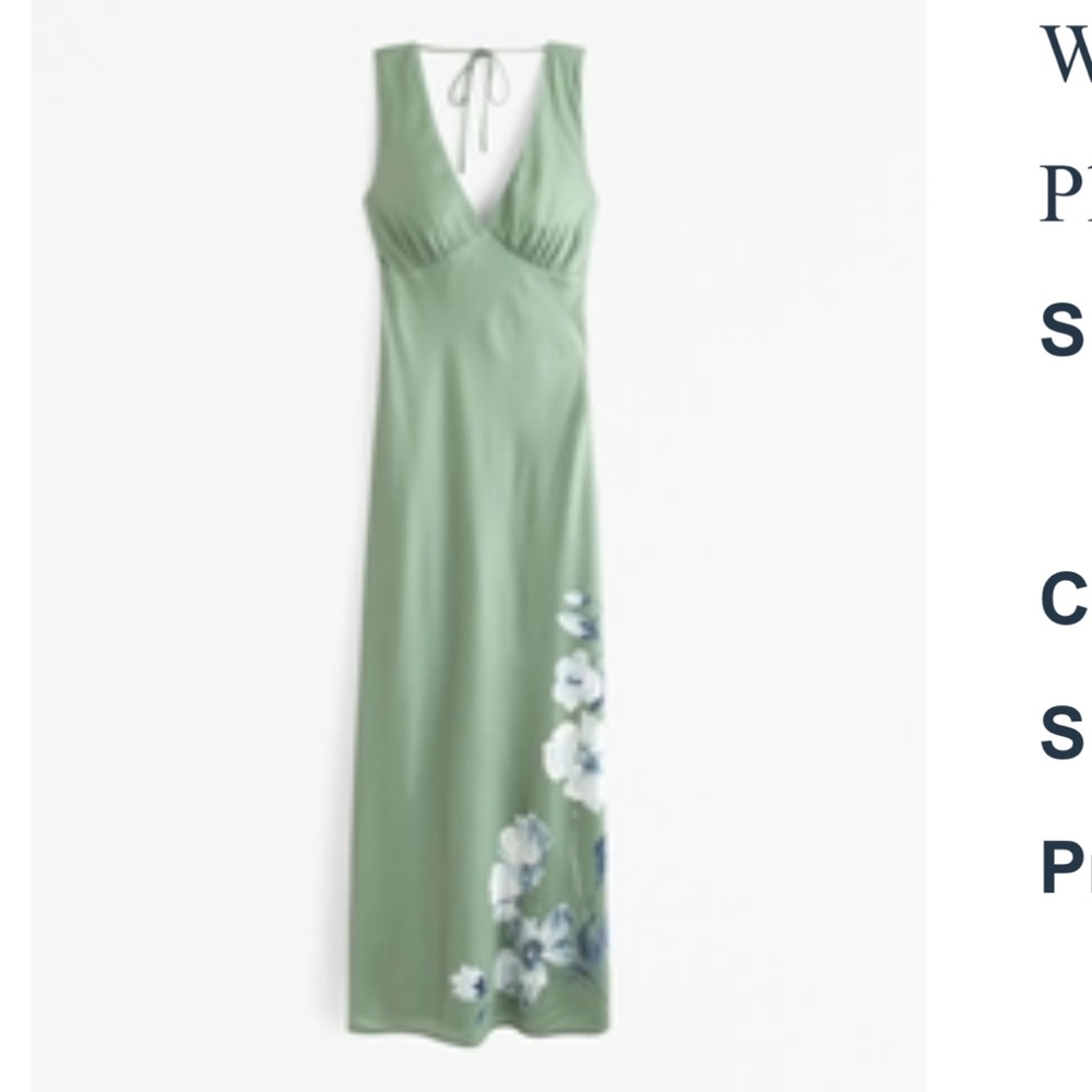 Abercrombie Plunge Cowl Back Maxi Dress